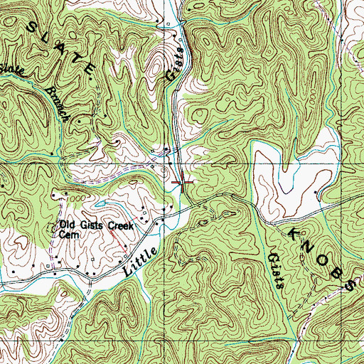 Topographic Map of Slate Branch, TN