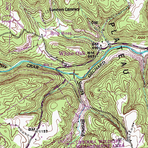 Topographic Map of Smith Branch, TN