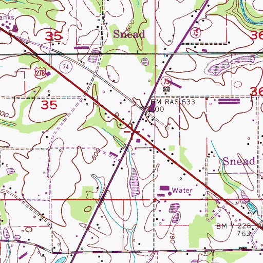 Topographic Map of Snead, AL
