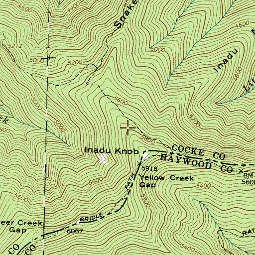 Topographic Map of Snake Den Mountain, TN