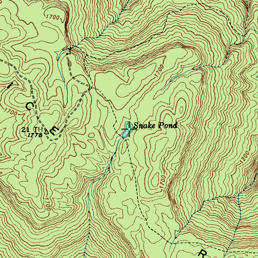 Topographic Map of Snake Pond, TN