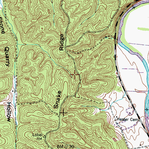 Topographic Map of Snake Ridge, TN