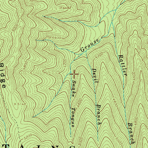 Topographic Map of Snake Tongue, TN