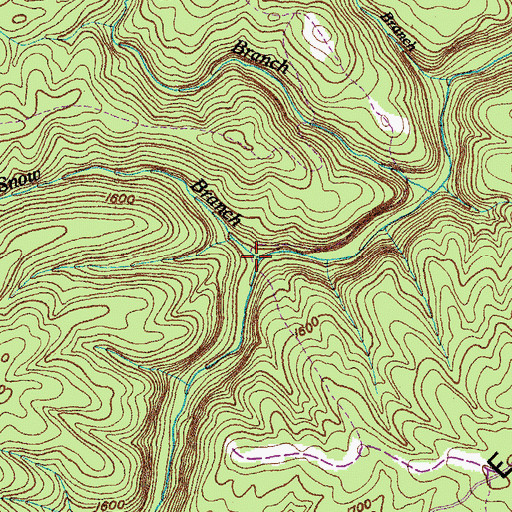 Topographic Map of Snow Branch, TN