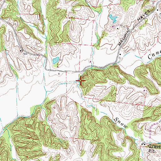 Topographic Map of Snow Branch, TN