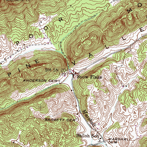 Topographic Map of Snow Flake, TN