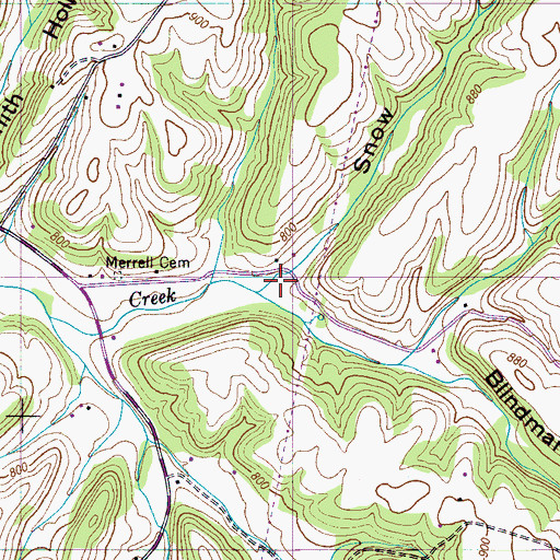 Topographic Map of Snow Hollow, TN