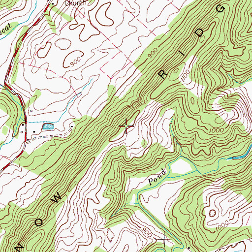 Topographic Map of Snow Ridge, TN