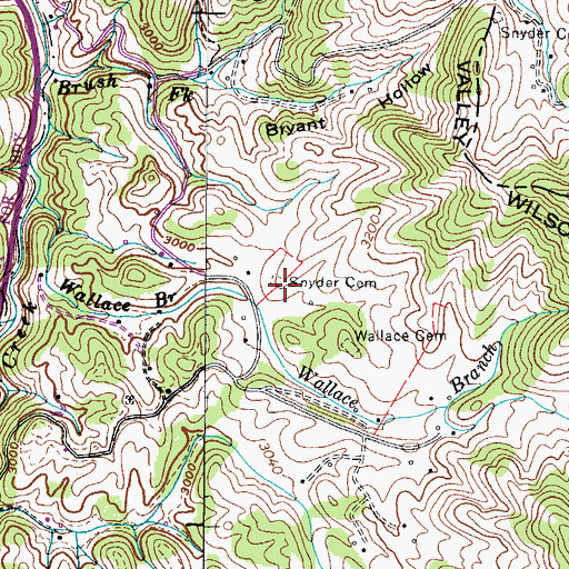 Topographic Map of Snyder Cemetery, TN