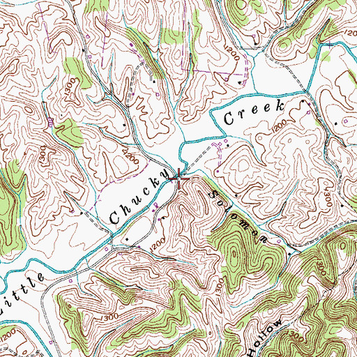 Topographic Map of Solomon Branch, TN