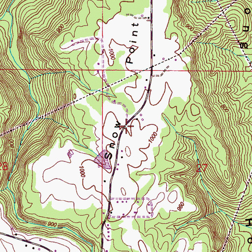 Topographic Map of Snow Point, AL