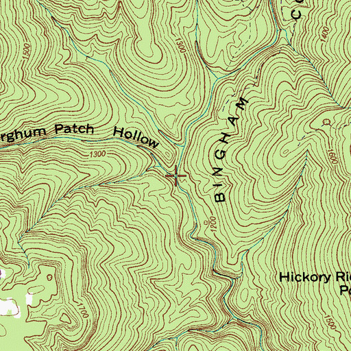 Topographic Map of Sorghum Patch Hollow, TN