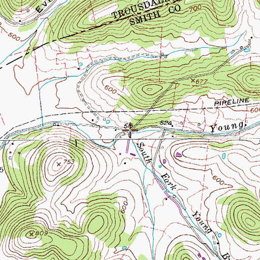 Topographic Map of South Fork Young Branch, TN