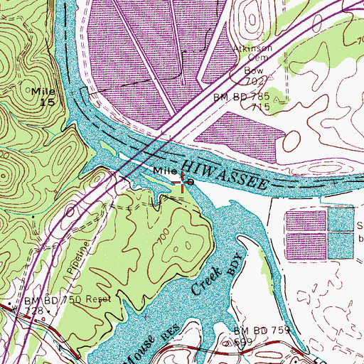 Topographic Map of South Mouse Creek, TN