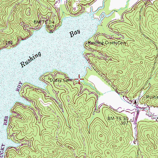 Topographic Map of South Rushing Creek, TN