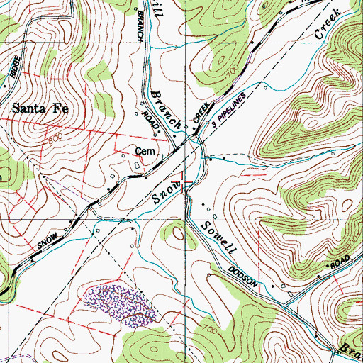 Topographic Map of Sowell Branch, TN