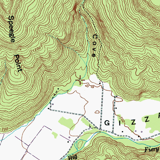 Topographic Map of Speegle Cove, TN