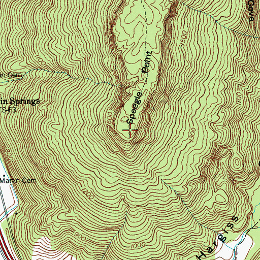 Topographic Map of Speegle Point, TN