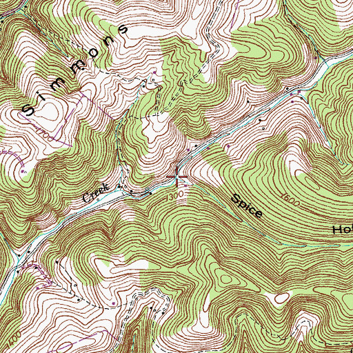 Topographic Map of Spice Hollow, TN