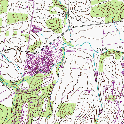 Topographic Map of Spicer Branch, TN
