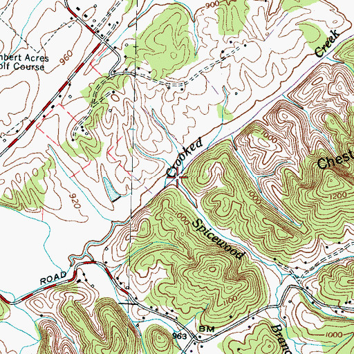 Topographic Map of Spicewood Branch, TN