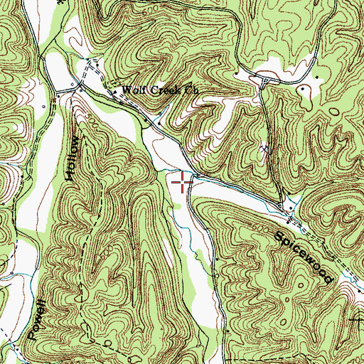 Topographic Map of Spicewood Hollow, TN