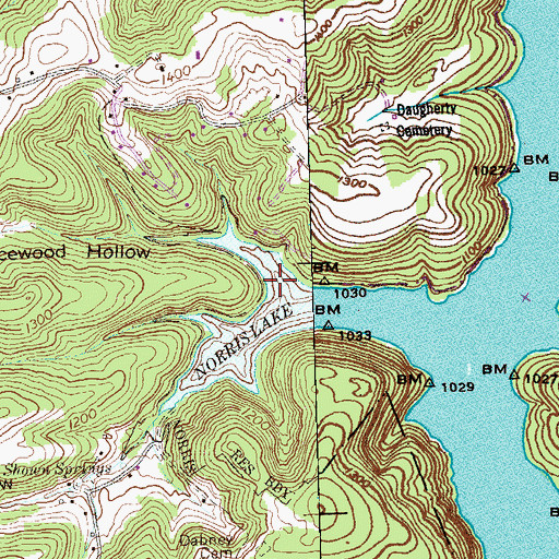 Topographic Map of Spicewood Hollow, TN