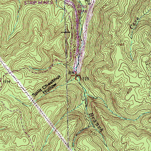 Topographic Map of Split Chestnut Hollow, TN