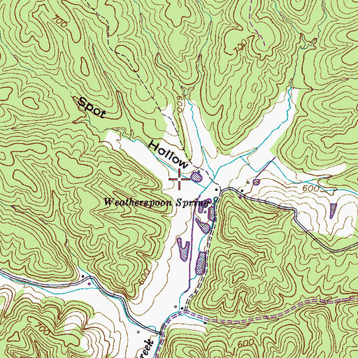 Topographic Map of Spot Hollow, TN
