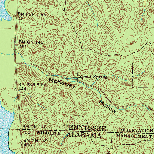 Topographic Map of Spout Spring, TN