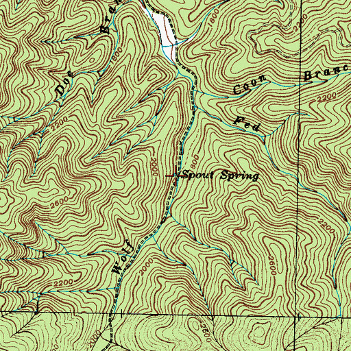 Topographic Map of Spout Spring, TN