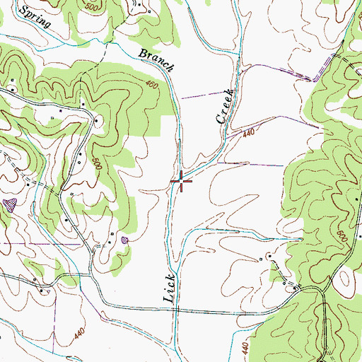 Topographic Map of Spring Branch, TN