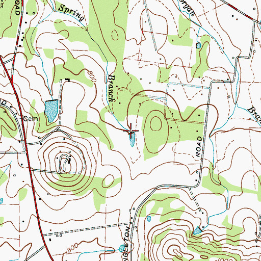 Topographic Map of Spring Branch, TN