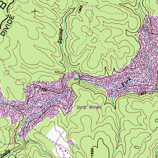 Topographic Map of Spring Branch, TN