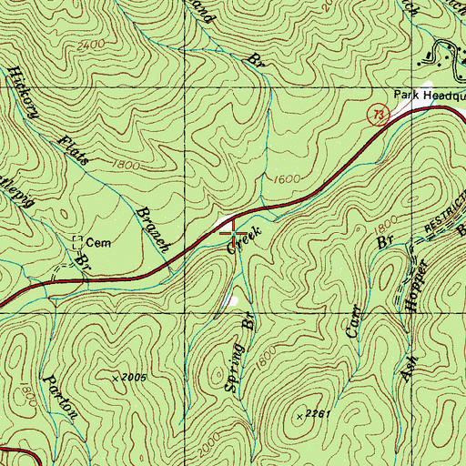 Topographic Map of Spring Branch, TN