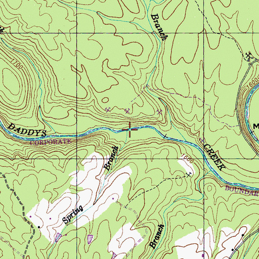 Topographic Map of Spring Branch, TN