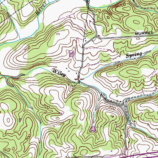 Topographic Map of Spring Branch, TN