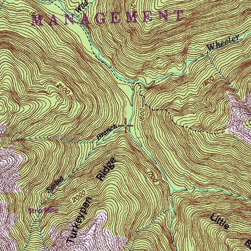 Topographic Map of Spring Branch, TN