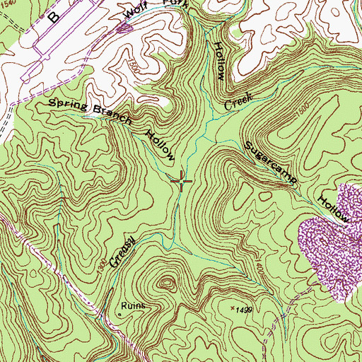 Topographic Map of Spring Branch Hollow, TN