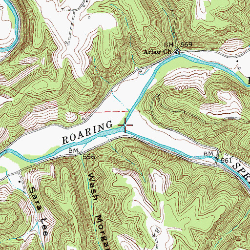 Topographic Map of Spring Creek, TN