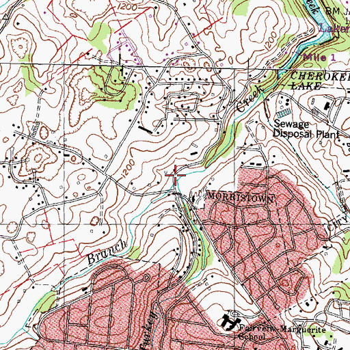 Topographic Map of Springs Branch, TN