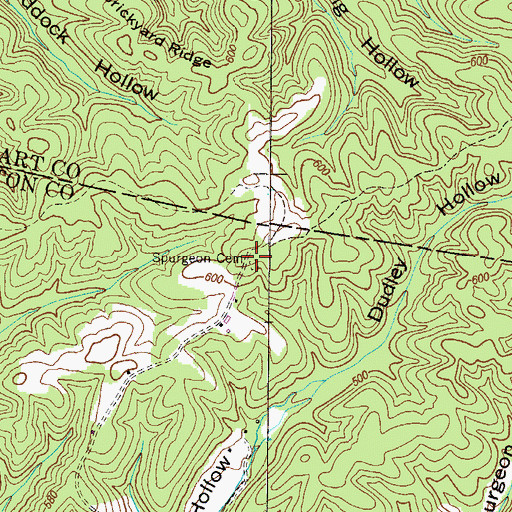 Topographic Map of Spurgeon Cemetery, TN