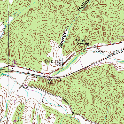 Topographic Map of Spurgeon Hollow, TN