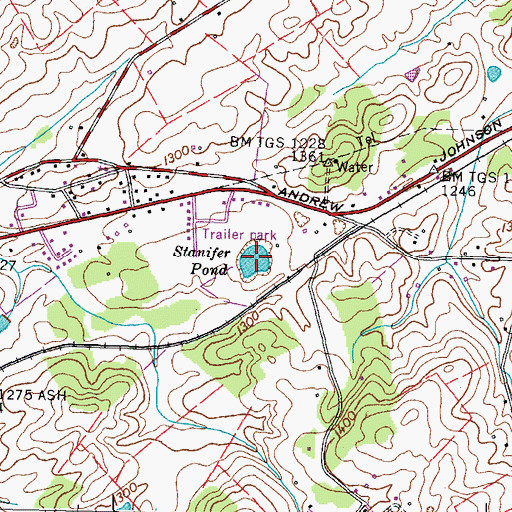 Topographic Map of Stanifer Pond, TN