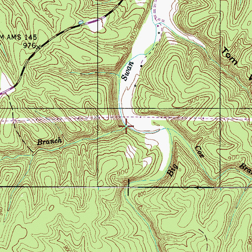 Topographic Map of Star Branch, TN