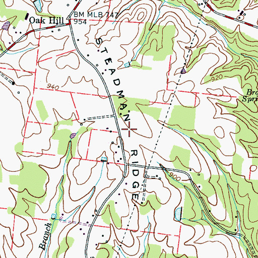 Topographic Map of Steadman Ridge, TN