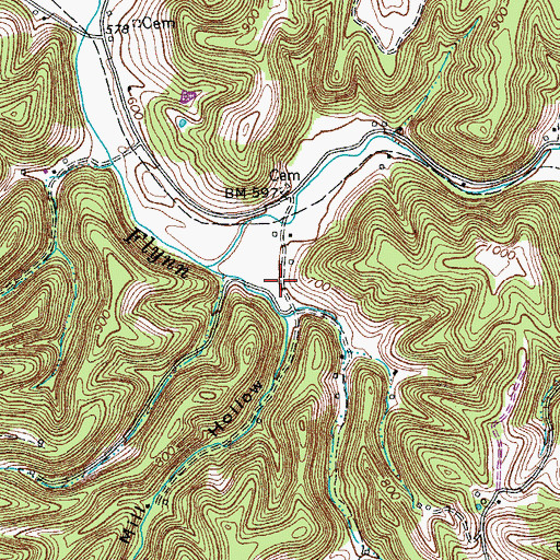 Topographic Map of Steam Mill Hollow, TN