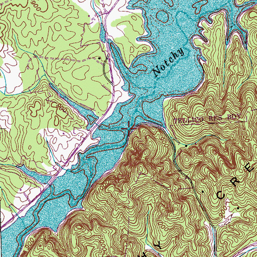 Topographic Map of Steed Bridge, TN