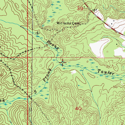 Topographic Map of South Prong Tauler Creek, AL