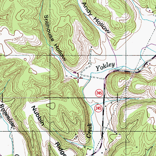 Topographic Map of Stillhouse Hollow, TN